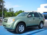 2010 Ford Escape Hybrid Data, Info and Specs