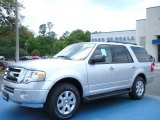 2010 Ingot Silver Metallic Ford Expedition XLT #28874699