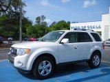 2010 White Suede Ford Escape Limited V6 #28874706