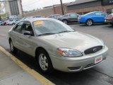 2006 Gold Ash Metallic Ford Taurus SE #28936544