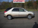 2007 Frost White Buick Rendezvous CXL #28937080
