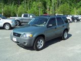 2005 Titanium Green Metallic Ford Escape XLT V6 4WD #28937099