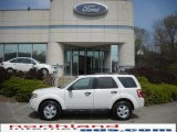 2010 White Suede Ford Escape XLT V6 4WD #28936475
