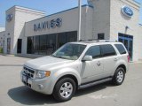 2008 Light Sage Metallic Ford Escape Limited 4WD #29004793