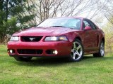 Redfire Metallic Ford Mustang in 2004