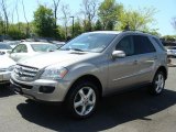 2008 Pewter Metallic Mercedes-Benz ML 350 4Matic #29004559