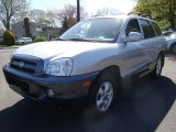 2005 Smart Silver Hyundai Santa Fe GLS 4WD #29005278