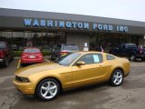 2010 Sunset Gold Metallic Ford Mustang GT Premium Coupe #29064780