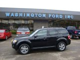 2009 Black Ford Escape XLT V6 4WD #29064788