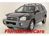 2005 Black Obsidian Hyundai Santa Fe GLS #29137541