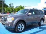 2010 Ford Escape Limited