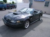 2004 Black Ford Mustang GT Convertible #29138055