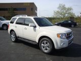 2010 White Suede Ford Escape Limited V6 4WD #29137589