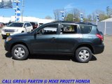 2009 Black Forest Pearl Toyota RAV4 4WD #29137443