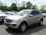 2007 Mercedes-Benz ML 350 4Matic