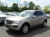 2007 Pewter Metallic Mercedes-Benz ML 350 4Matic #29137461