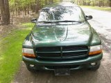 2001 Forest Green Pearl Dodge Durango SLT 4x4 #29266487