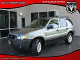 2005 Titanium Green Metallic Ford Escape XLT V6 #29265981