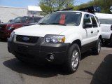 2007 Oxford White Ford Escape XLT V6 4WD #29342571