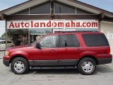 2005 Redfire Metallic Ford Expedition XLT 4x4 #29342585
