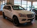 2010 Arctic White Mercedes-Benz GL 450 4Matic #29342201