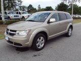 2009 Dodge Journey SXT