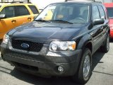 2007 Black Ford Escape XLT 4WD #29404384