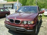 2001 Mohogany Brown Metallic BMW X5 3.0i #29434080