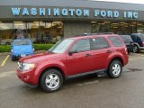 2009 Ford Escape XLT V6 4WD