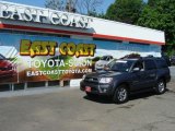 2007 Galactic Gray Mica Toyota 4Runner Limited 4x4 #29483528