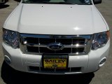 2010 White Suede Ford Escape XLT #29483444