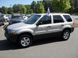 2005 Silver Metallic Ford Escape XLT V6 4WD #29536745