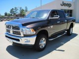 2010 Dodge Ram 3500 Big Horn Edition Crew Cab 4x4