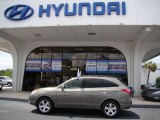 2008 Natural Khaki Metallic Hyundai Veracruz Limited #29599977