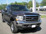 Dark Shadow Grey Metallic Ford F350 Super Duty in 2004