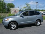 2008 Platinum Sage Hyundai Santa Fe GLS #29599981