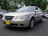 2010 Hyundai Sonata GLS