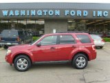 2009 Sangria Red Metallic Ford Escape XLT 4WD #29723887