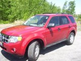 2009 Sangria Red Metallic Ford Escape XLT V6 4WD #29723733