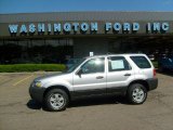 2005 Silver Metallic Ford Escape XLS #29762515