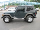 2005 Deep Beryl Green Pearl Jeep Wrangler X 4x4 #29762793