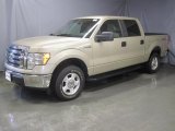 2009 Pueblo Gold Metallic Ford F150 XLT SuperCrew 4x4 #29831950