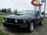 2007 Black Ford Mustang GT Premium Coupe #29899561