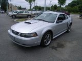 2004 Silver Metallic Ford Mustang GT Coupe #29957526