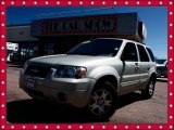 2005 Gold Ash Metallic Ford Escape Limited 4WD #29957285