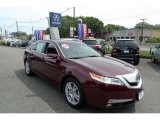 2009 Basque Red Pearl Acura TL 3.5 #30037267
