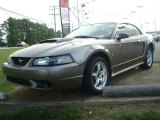 2001 Ford Mustang Cobra Coupe