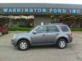 2010 Sterling Grey Metallic Ford Escape Limited V6 4WD #30036681