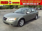 2009 Natural Khaki Green Hyundai Sonata GLS #30037031