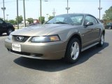 2002 Mineral Grey Metallic Ford Mustang V6 Coupe #30036471